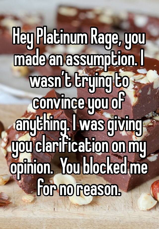 Hey Platinum Rage, you made an assumption. I wasn’t trying to convince you of anything. I was giving you clarification on my opinion.  You blocked me for no reason. 