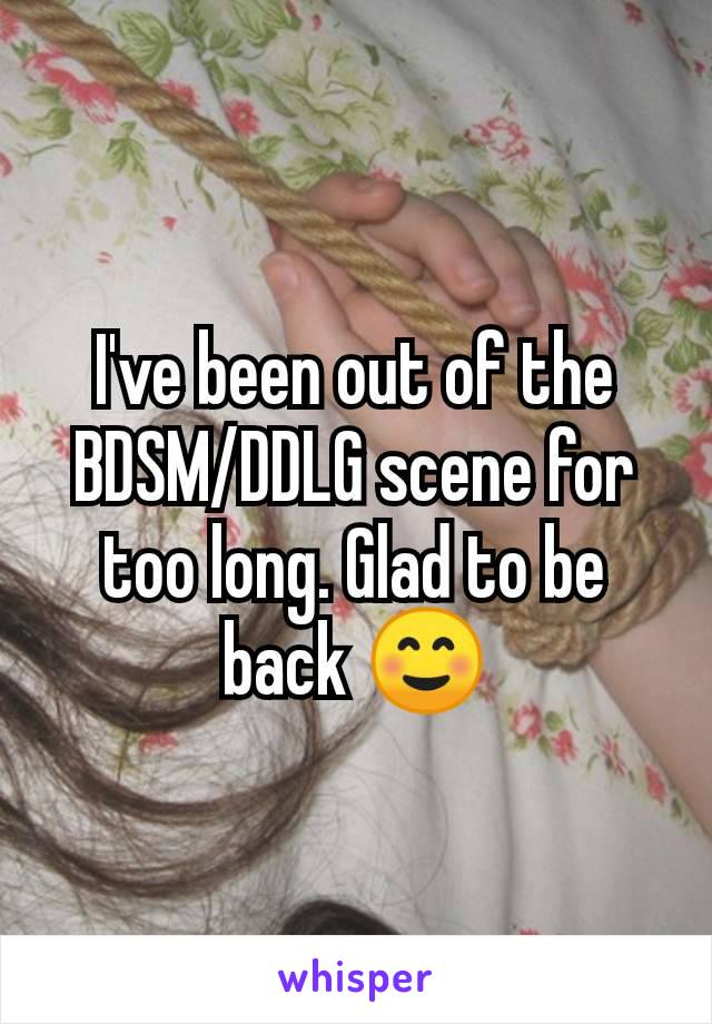 I've been out of the BDSM/DDLG scene for too long. Glad to be back ☺️