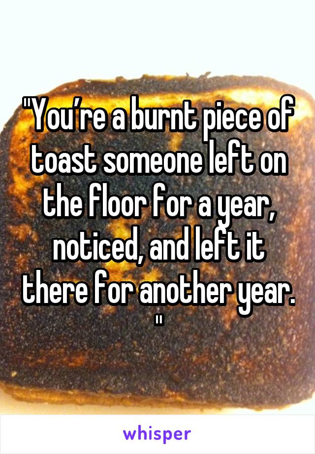 "You’re a burnt piece of toast someone left on the floor for a year, noticed, and left it there for another year. "