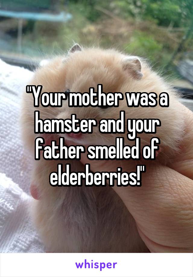 "Your mother was a hamster and your father smelled of elderberries!"