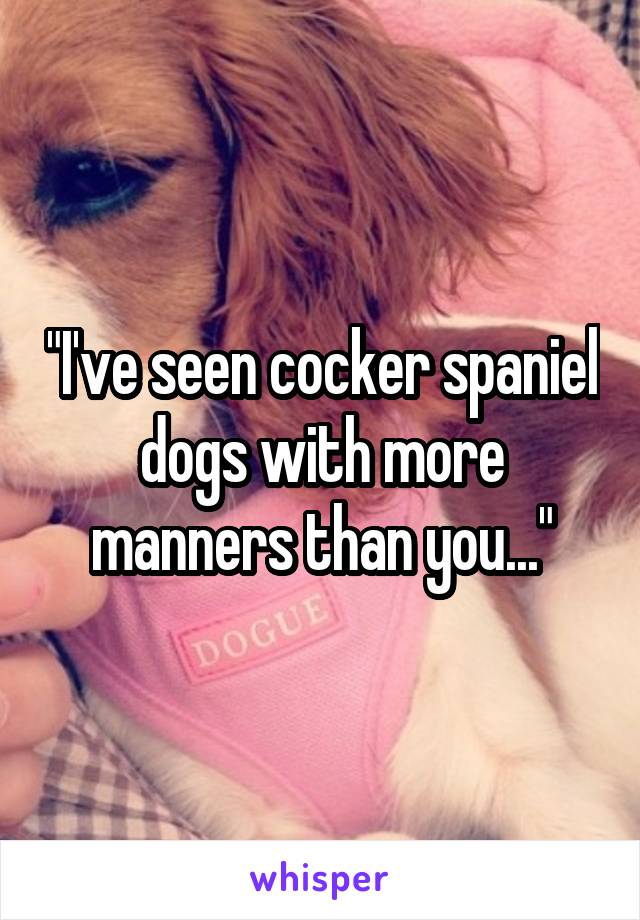 "I've seen cocker spaniel dogs with more manners than you..."