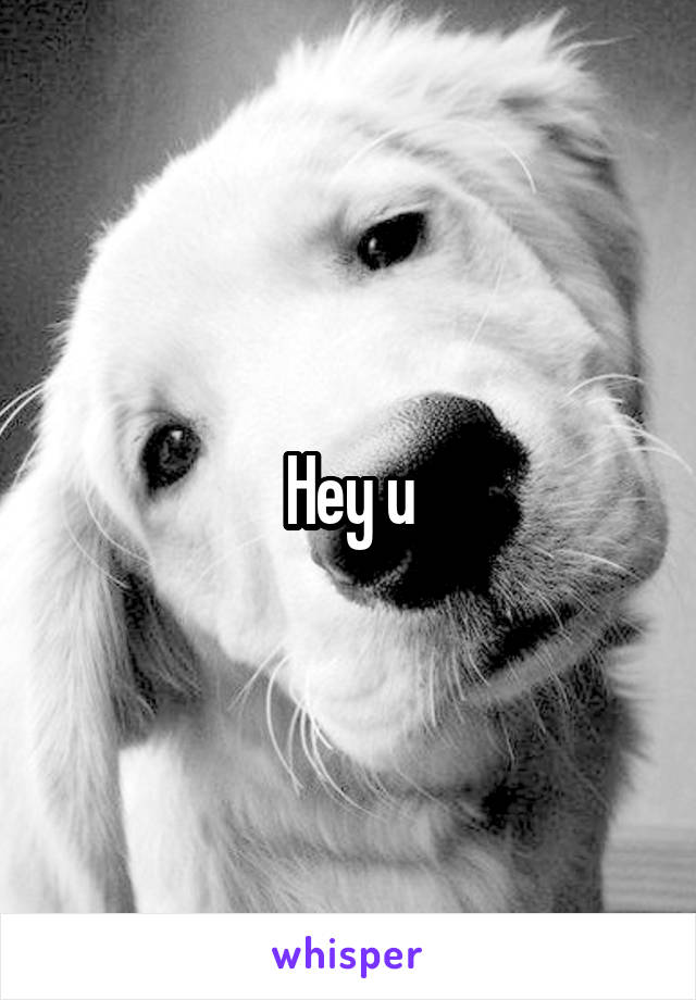 Hey u