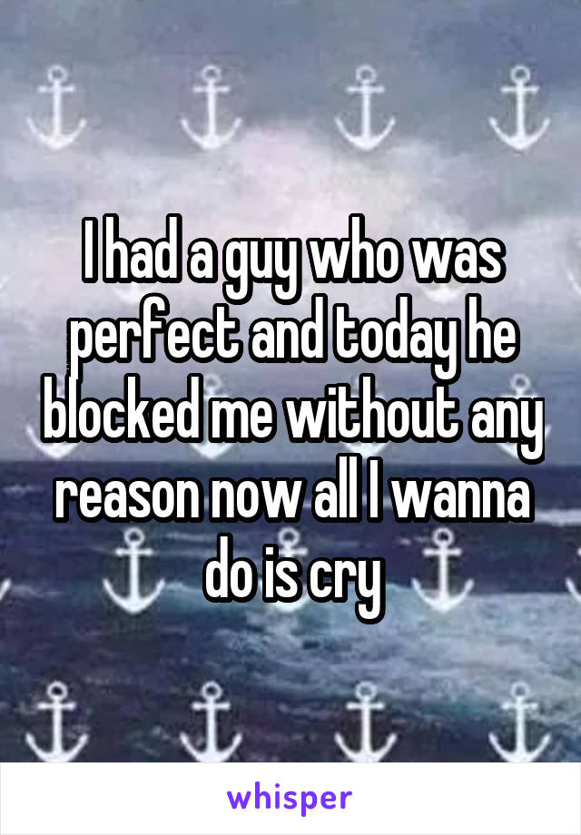 I had a guy who was perfect and today he blocked me without any reason now all I wanna do is cry