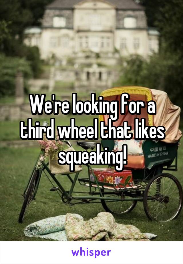 We're looking for a third wheel that likes squeaking!