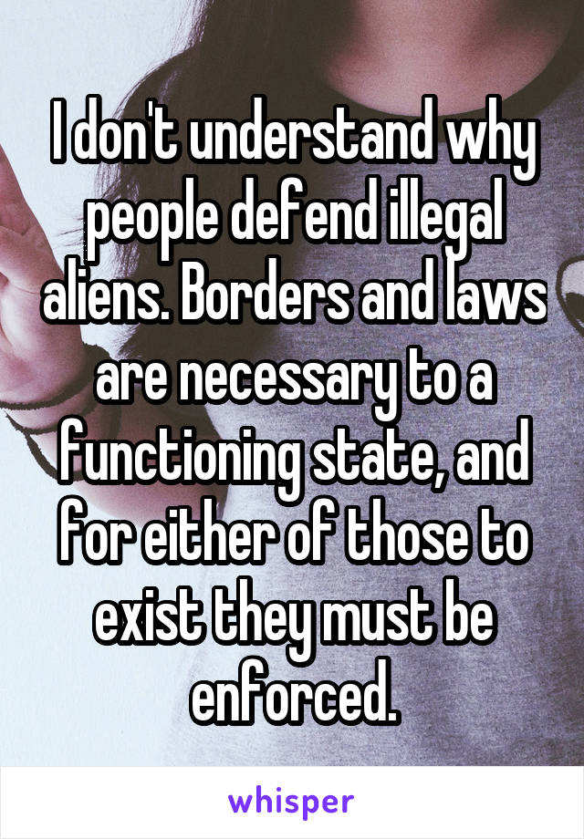 I don't understand why people defend illegal aliens. Borders and laws are necessary to a functioning state, and for either of those to exist they must be enforced.