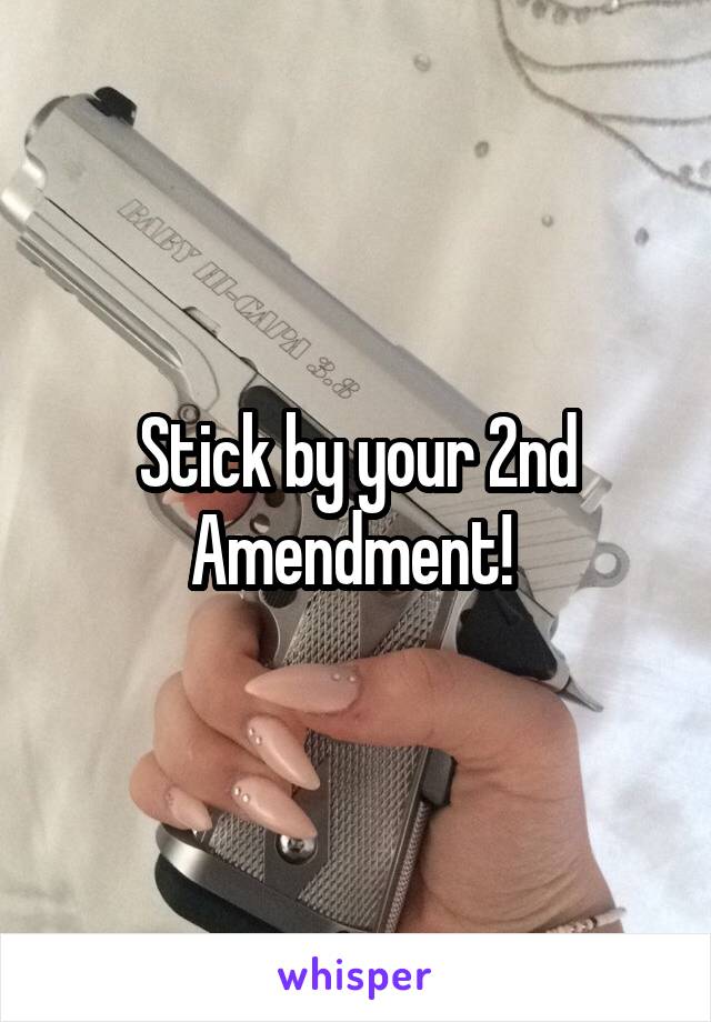 Stick by your 2nd Amendment! 