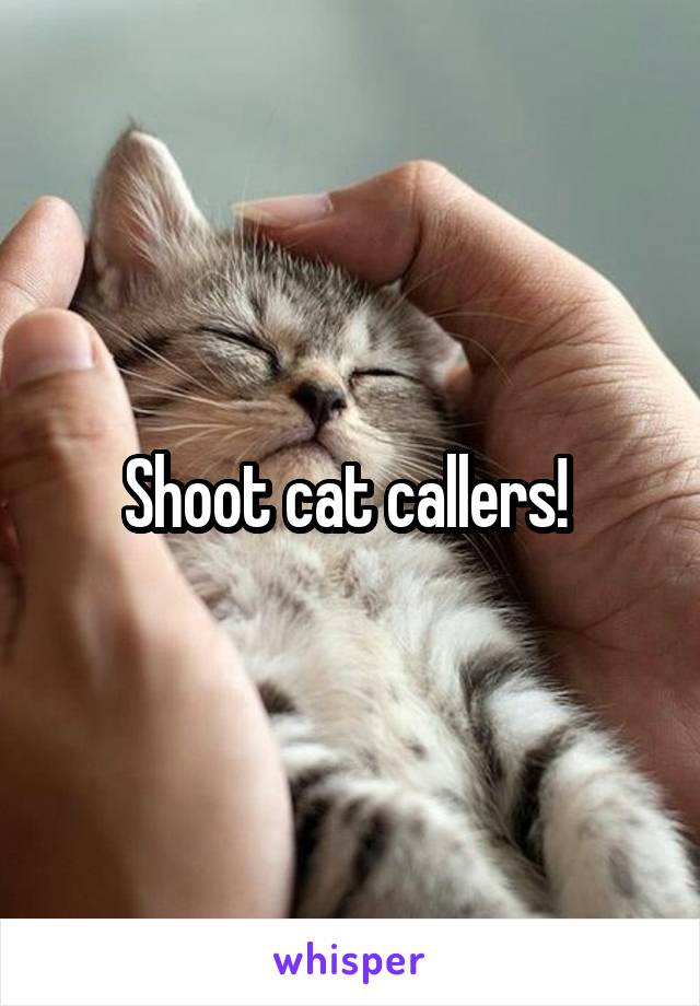 Shoot cat callers! 