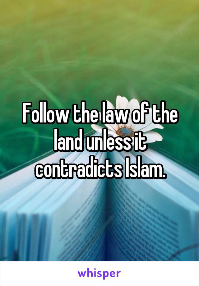 Follow the law of the land unless it contradicts Islam.