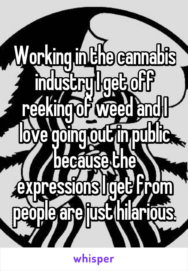 Working in the cannabis industry I get off reeking of weed and I love going out in public because the expressions I get from people are just hilarious.
