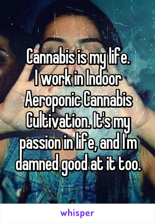 Cannabis is my life.
I work in Indoor Aeroponic Cannabis Cultivation. It's my passion in life, and I'm damned good at it too.