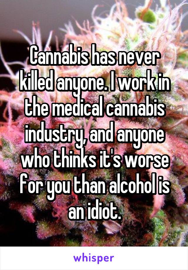 Cannabis has never killed anyone. I work in the medical cannabis industry, and anyone who thinks it's worse for you than alcohol is an idiot.
