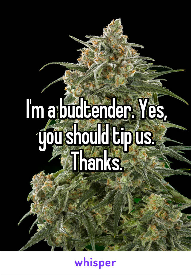 I'm a budtender. Yes, you should tip us. Thanks.