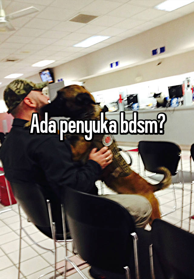 Ada penyuka bdsm?
