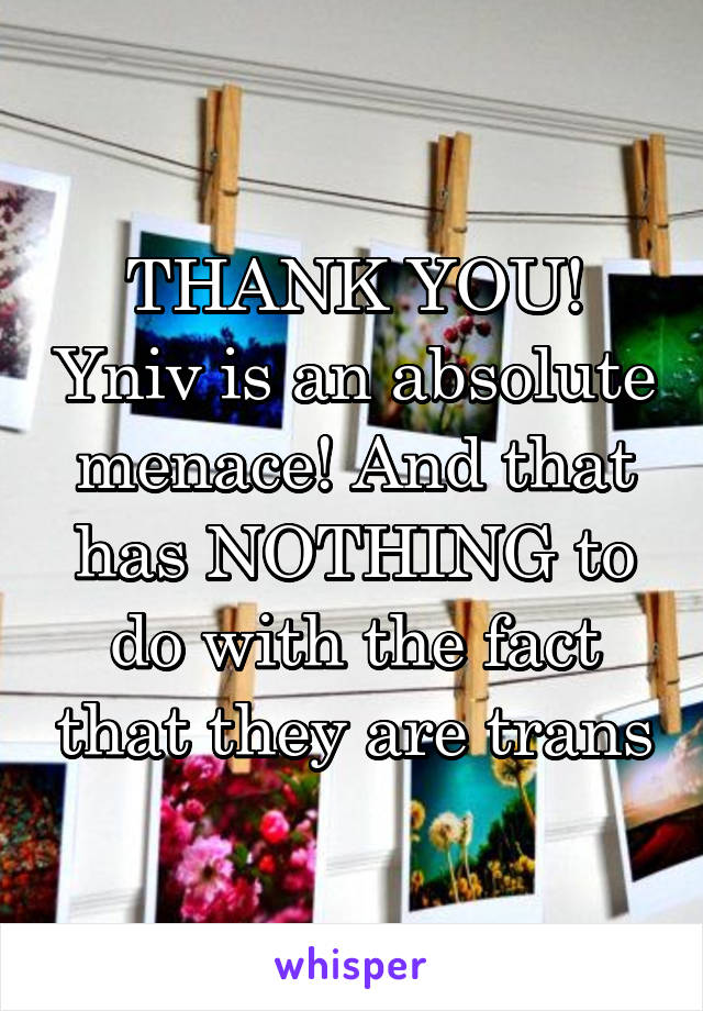 THANK YOU! Yniv is an absolute menace! And that has NOTHING to do with the fact that they are trans