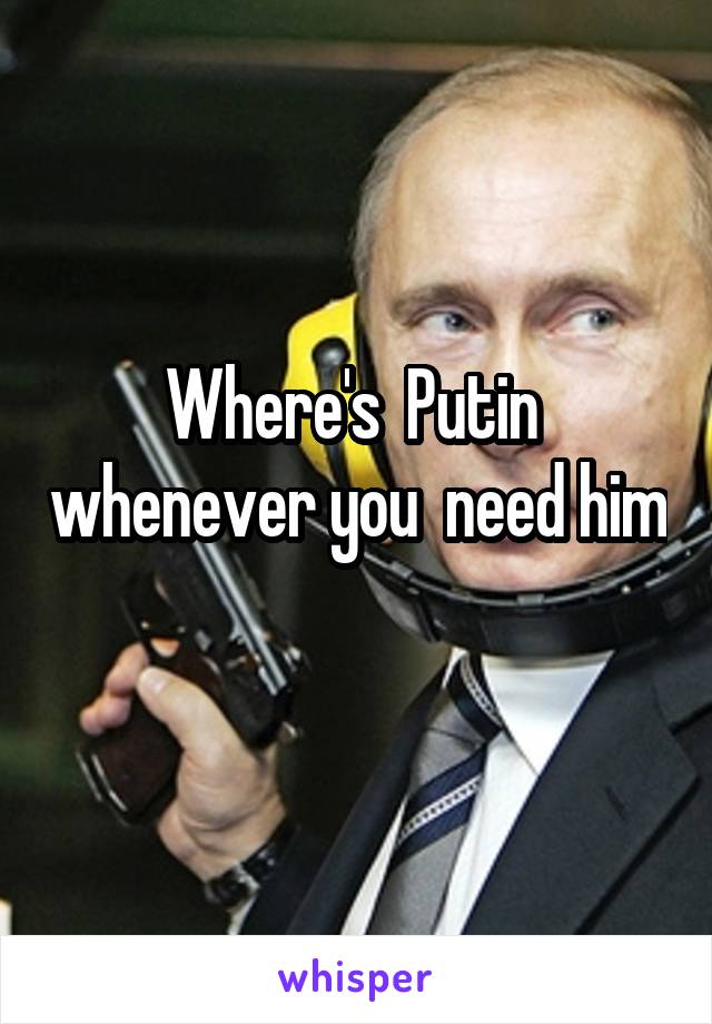 Where's  Putin  whenever you  need him 