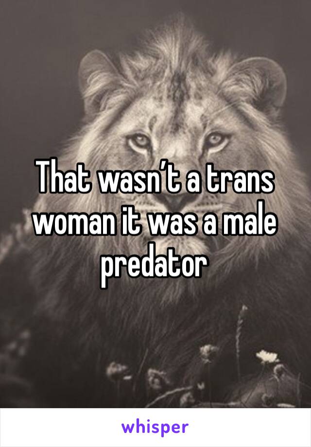 That wasn’t a trans woman it was a male predator 