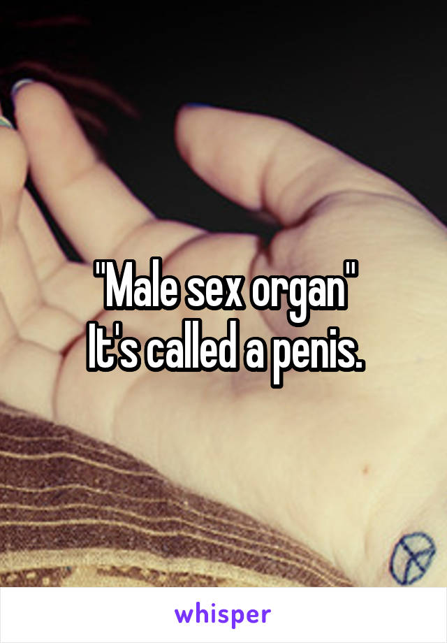 "Male sex organ"
It's called a penis.