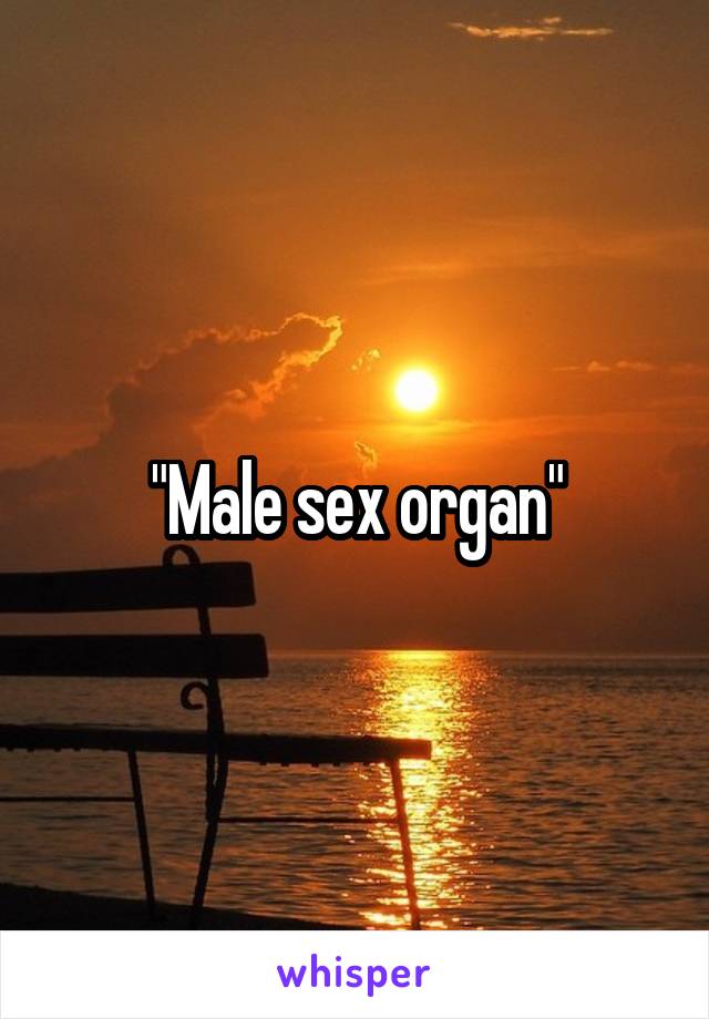 "Male sex organ"