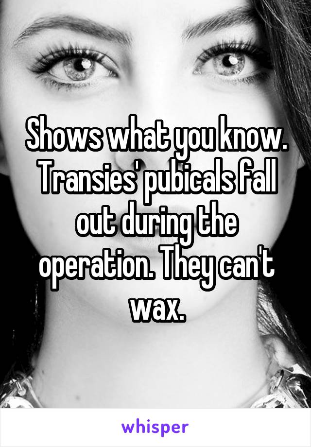 Shows what you know. Transies' pubicals fall out during the operation. They can't wax.