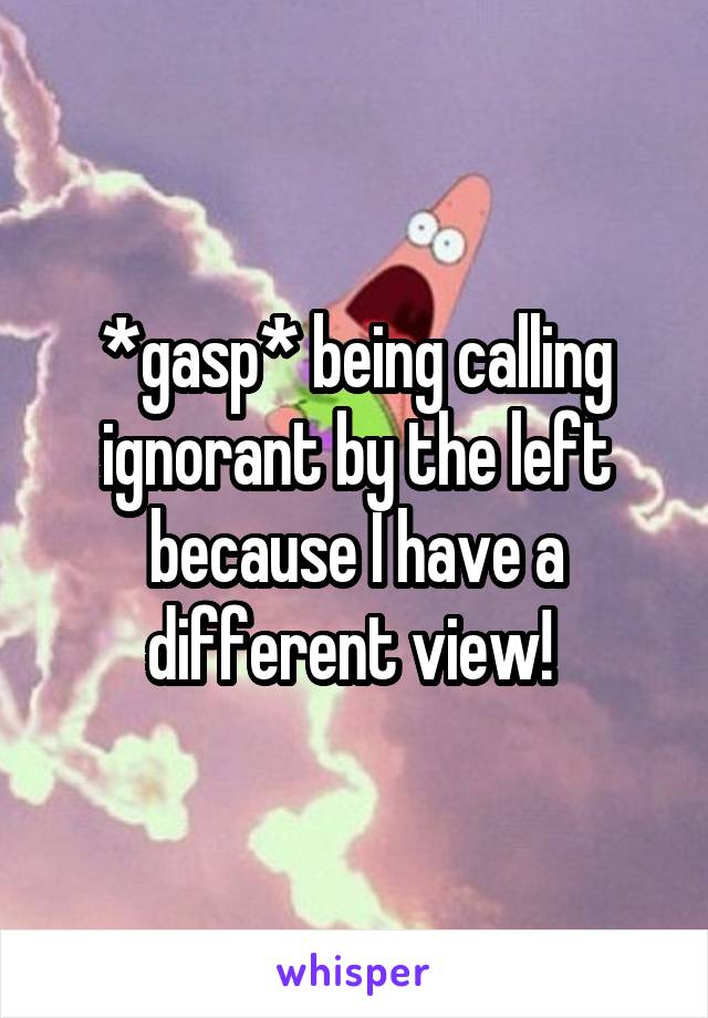 *gasp* being calling ignorant by the left because I have a different view! 