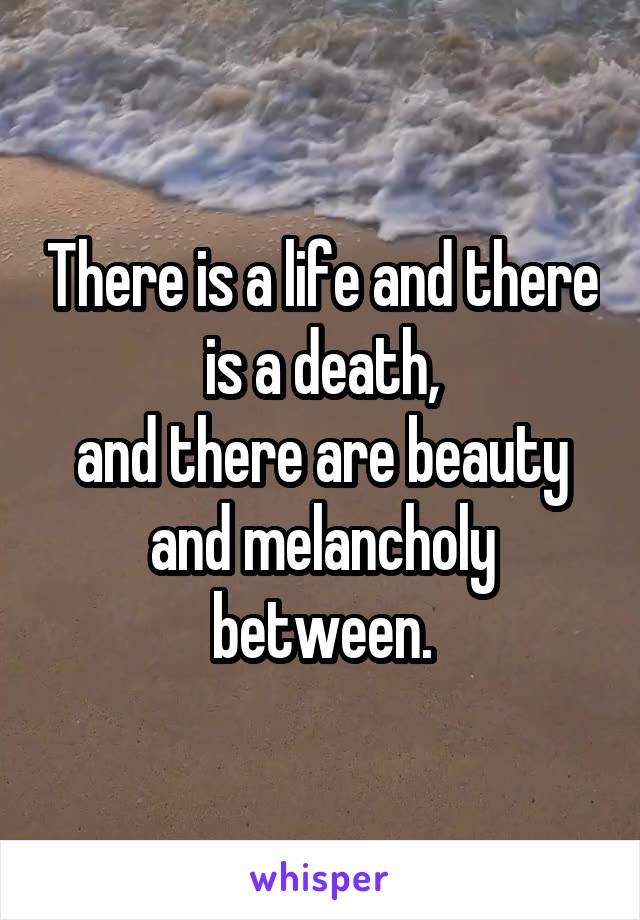 There is a life and there is a death,
and there are beauty and melancholy between.