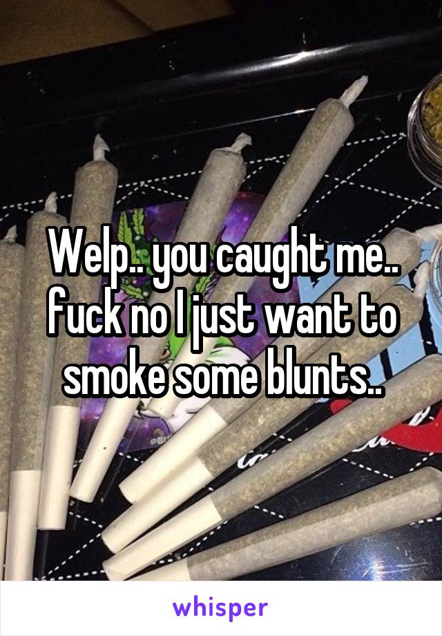 Welp.. you caught me.. fuck no I just want to smoke some blunts..