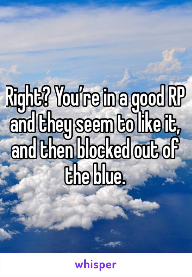 Right? You’re in a good RP and they seem to like it, and then blocked out of the blue.