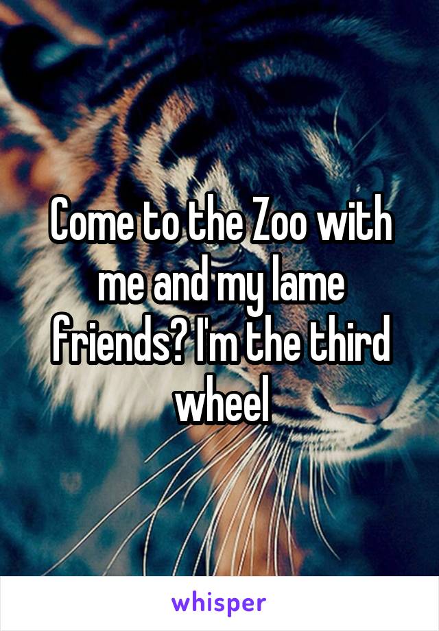 Come to the Zoo with me and my lame friends? I'm the third wheel