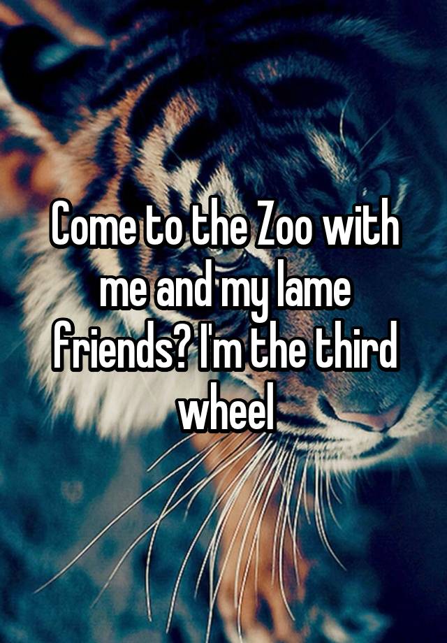 Come to the Zoo with me and my lame friends? I'm the third wheel