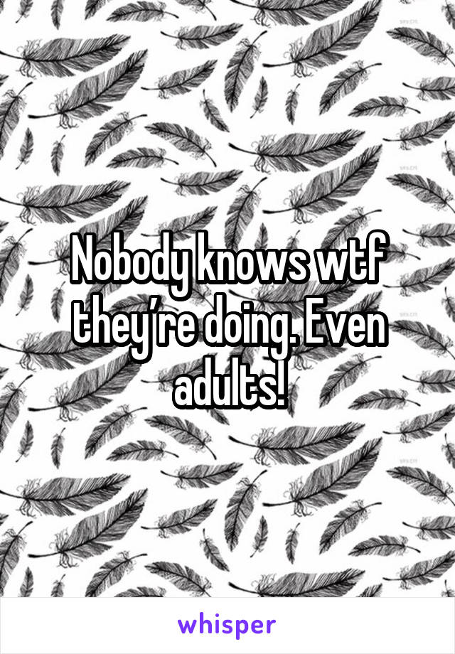 Nobody knows wtf they’re doing. Even adults!