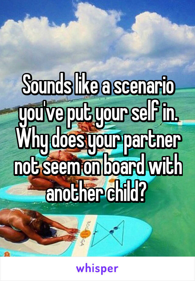 Sounds like a scenario you've put your self in. Why does your partner not seem on board with another child? 