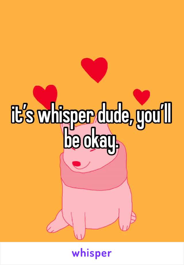 it’s whisper dude, you’ll be okay. 