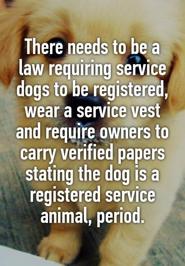 There needs to be a law requiring service dogs to be registered, wear a service vest and require owners to carry verified papers stating the dog is a registered service animal, period.