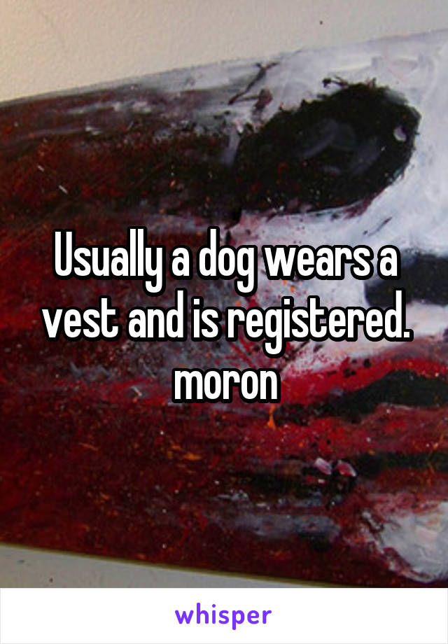 Usually a dog wears a vest and is registered. moron