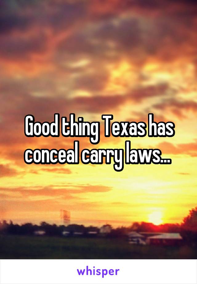 Good thing Texas has conceal carry laws... 