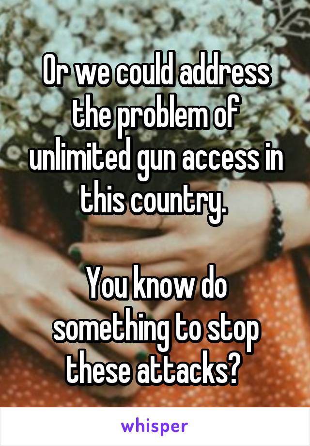 Or we could address the problem of unlimited gun access in this country. 

You know do something to stop these attacks? 