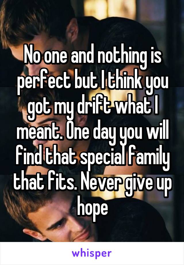 No one and nothing is perfect but I think you got my drift what I meant. One day you will find that special family that fits. Never give up hope