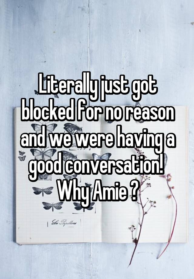 Literally just got blocked for no reason and we were having a good conversation! 
Why Amie ?