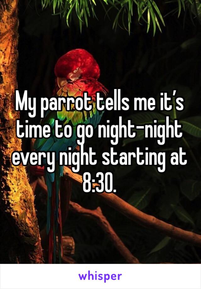 My parrot tells me it’s time to go night-night every night starting at 8:30.