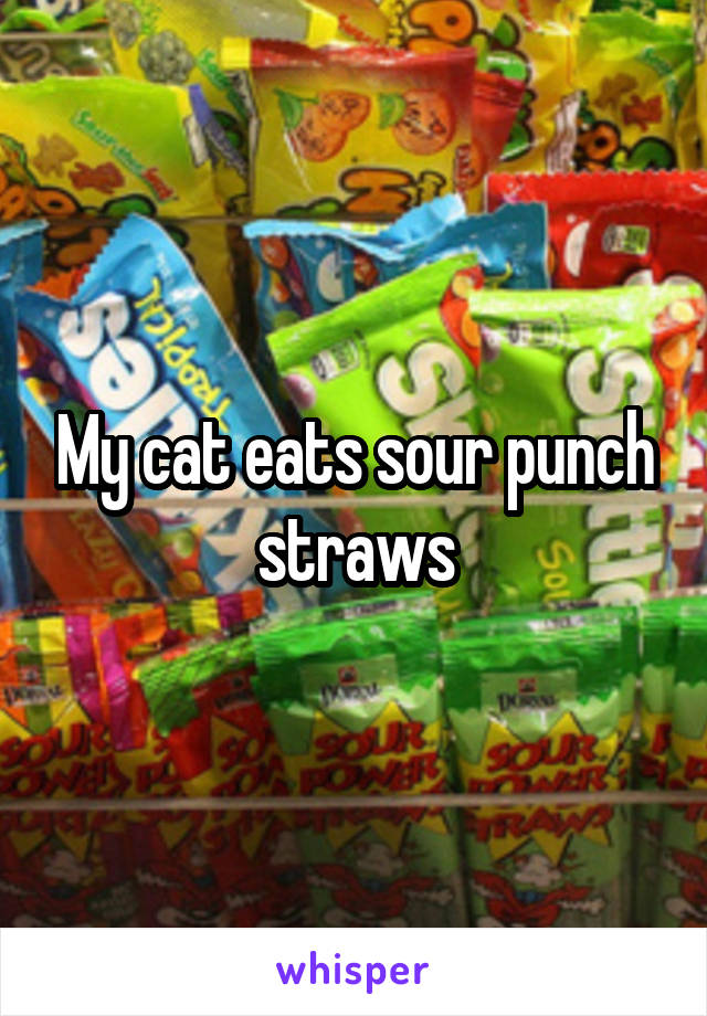 My cat eats sour punch straws