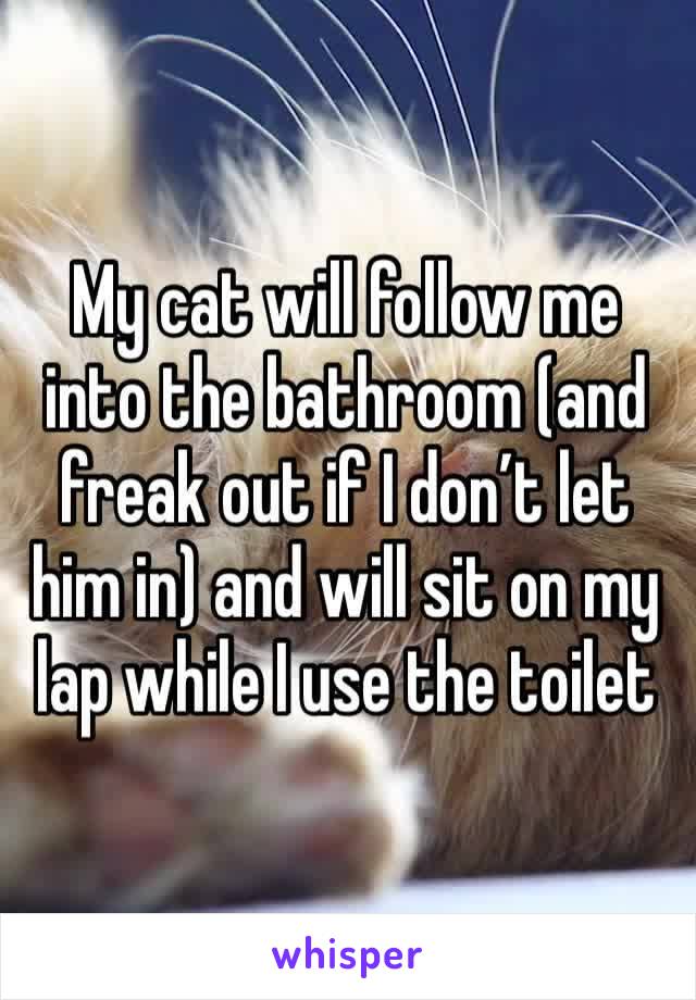 My cat will follow me into the bathroom (and freak out if I don’t let him in) and will sit on my lap while I use the toilet