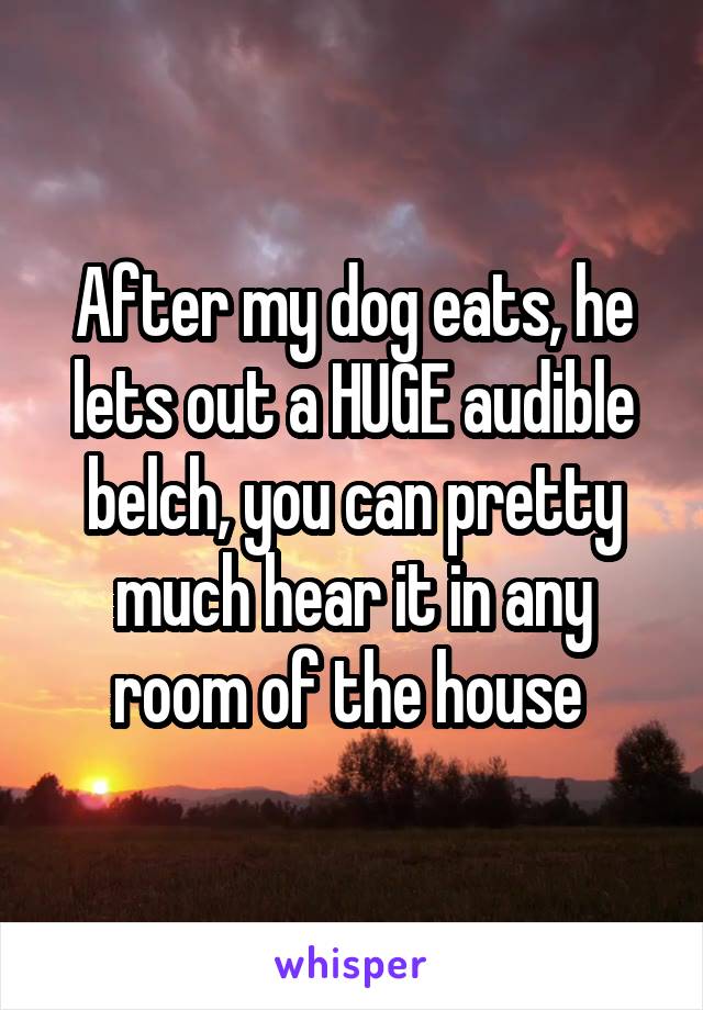 After my dog eats, he lets out a HUGE audible belch, you can pretty much hear it in any room of the house 