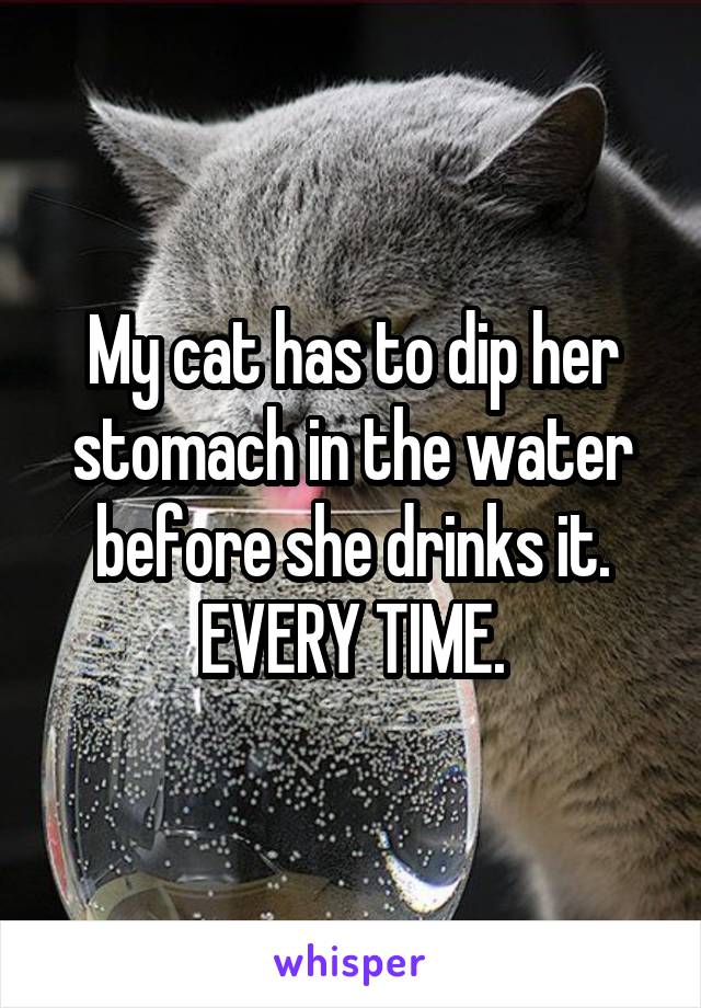 My cat has to dip her stomach in the water before she drinks it. EVERY TIME.