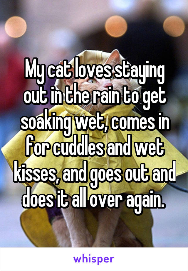 My cat loves staying out in the rain to get soaking wet, comes in for cuddles and wet kisses, and goes out and does it all over again. 