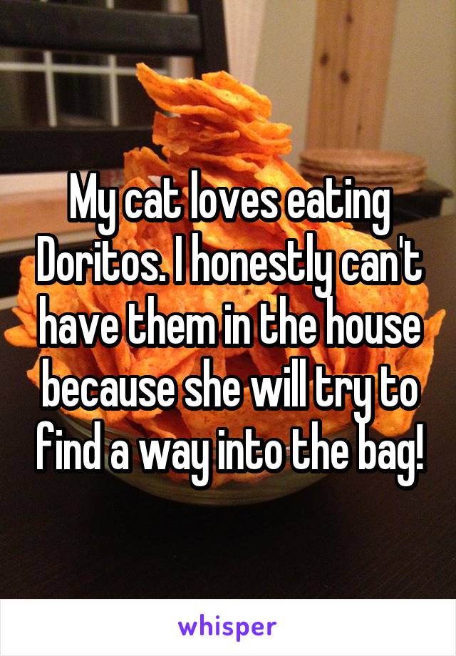 My cat loves eating Doritos. I honestly can't have them in the house because she will try to find a way into the bag!