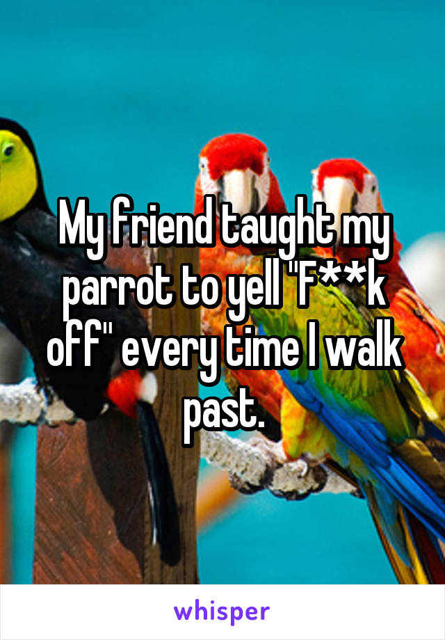 My friend taught my parrot to yell "F**k off" every time I walk past.