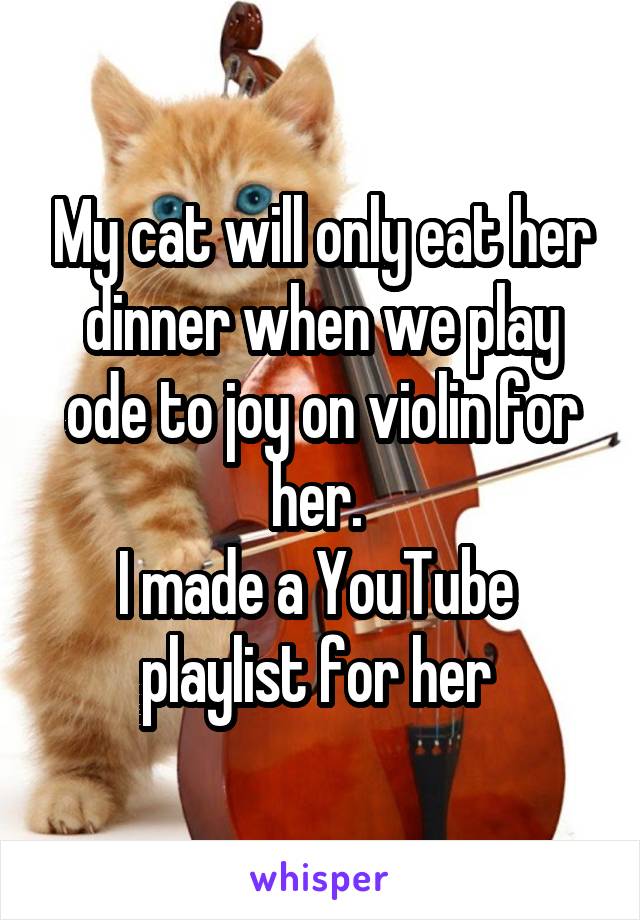 My cat will only eat her dinner when we play ode to joy on violin for her. 
I made a YouTube 
playlist for her 
