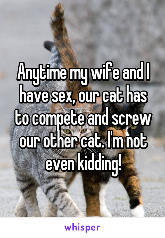 Anytime my wife and I have sex, our cat has to compete and screw our other cat. I'm not even kidding!