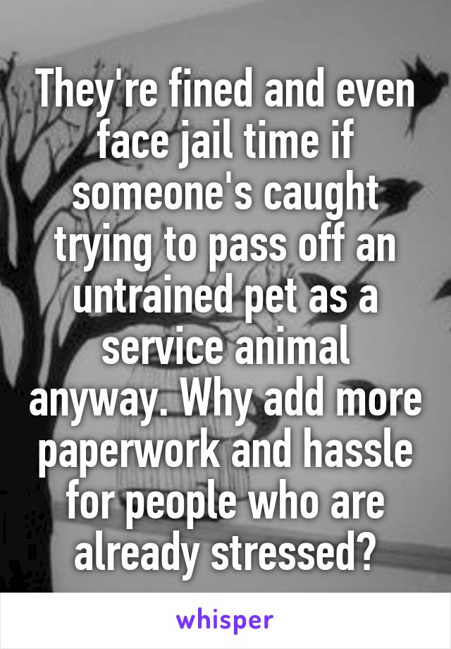 They're fined and even face jail time if someone's caught trying to pass off an untrained pet as a service animal anyway. Why add more paperwork and hassle for people who are already stressed?