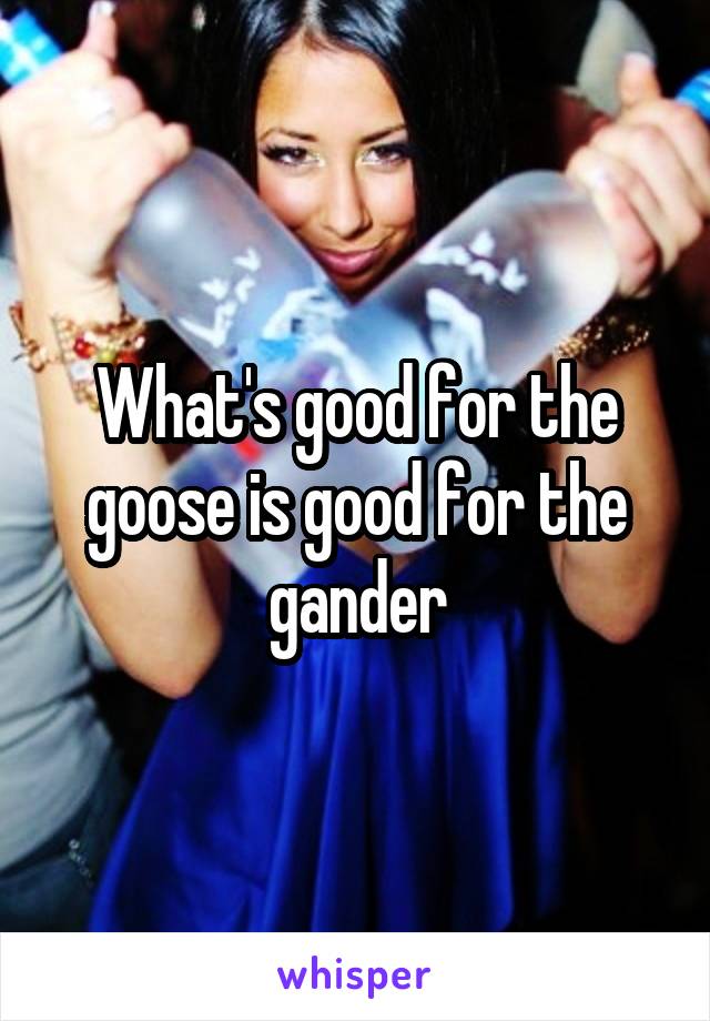 What's good for the goose is good for the gander